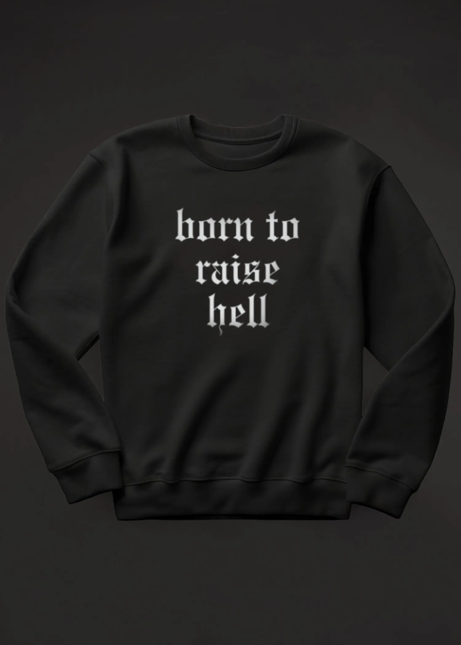 Born to Raise Hell Sweatshirt Rock n Roll Sweater